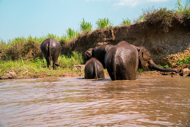 Full Day Chauffeur Driven Tuk Tuk Adventure in Chiang Mai including rafting - Leaving Chiang Mai for Mae Wang