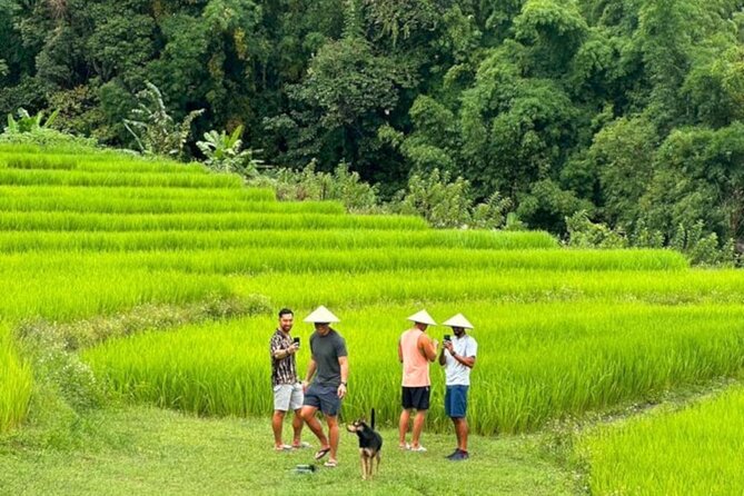 Full-Day Doi Inthanon National Park Tour with Trek and Pagodas - Why this nine-and-a-half-hour day works