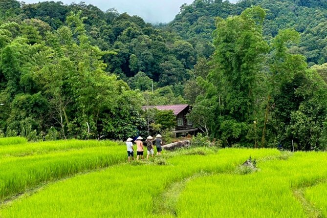 Full-Day Doi Inthanon National Park Tour with Trek and Pagodas - Baan Mae Klang Luang coffee and village life