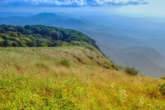 Full-Day Doi Inthanon Nature Tour from Chiang Mai - Walking to Wachirathan Falls
