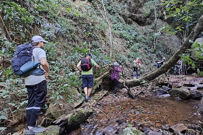 Full Day Doi Saket Hiking Tour - Key points before you book