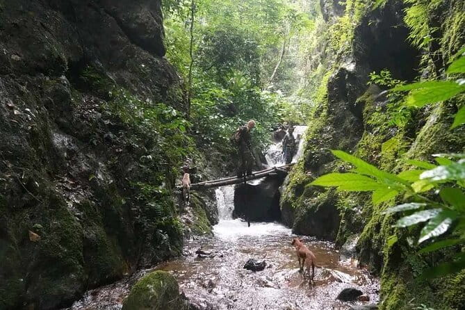 Full Day Doi Saket Hiking Tour - Why this Doi Saket hike feels different