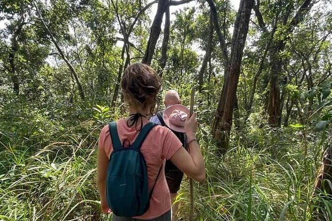 Full Day Doi Saket Hiking Tour - Who should book this tour
