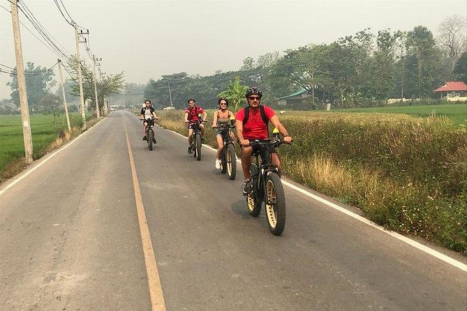 Full-day E-bike Countryside and Nam Phrae (flat-hilly, GUIDED) - What the electric bicycle changes