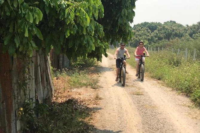 Full-day E-bike Countryside and Nam Phrae (flat-hilly, GUIDED) - Group size and the guide’s role