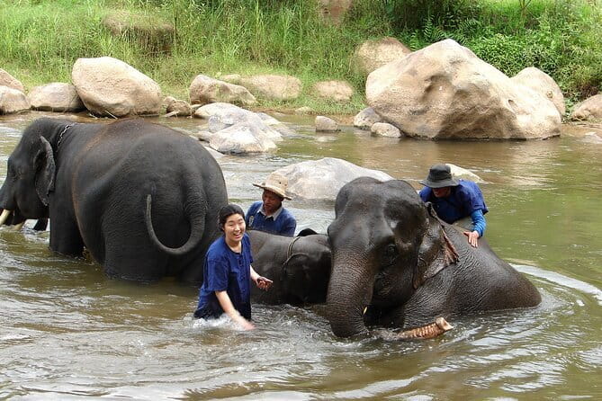 Full Day Elephant Bathing and Bamboo Rafting Tour in Chiang Mai - Mae Taman and the riverbank elephant camp