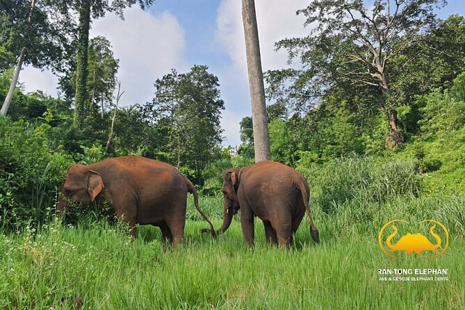 Full Day Experience at Ran-Tong Save & Rescue Elephant Centre - Changing into Karen-style clothes at the centre