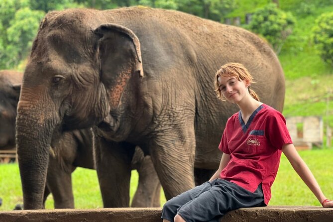 Full Day Experience at Ran-Tong Save & Rescue Elephant Centre - Walking beside elephants in their natural setting