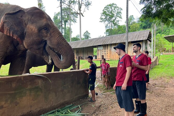Full Day Experience at Ran-Tong Save & Rescue Elephant Centre - What to pack for a wet and muddy day