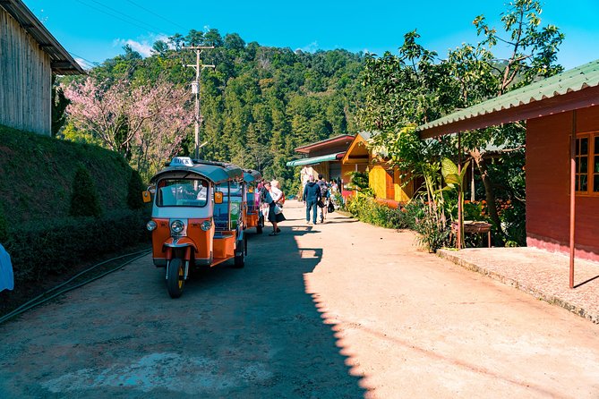 Full-Day Guided Tuk Tuk Chiang Mai Adventure and Rafting - What the $193.62 price includes