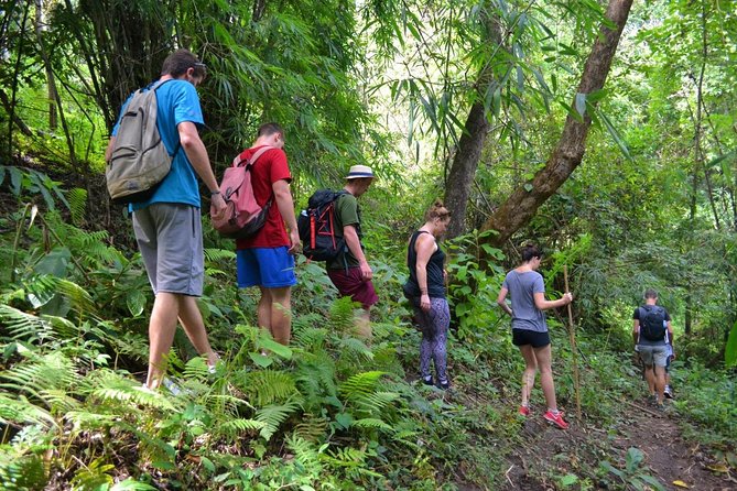 Full-Day Hike and Bike Tour from Chiang Mai - Key points to know before booking