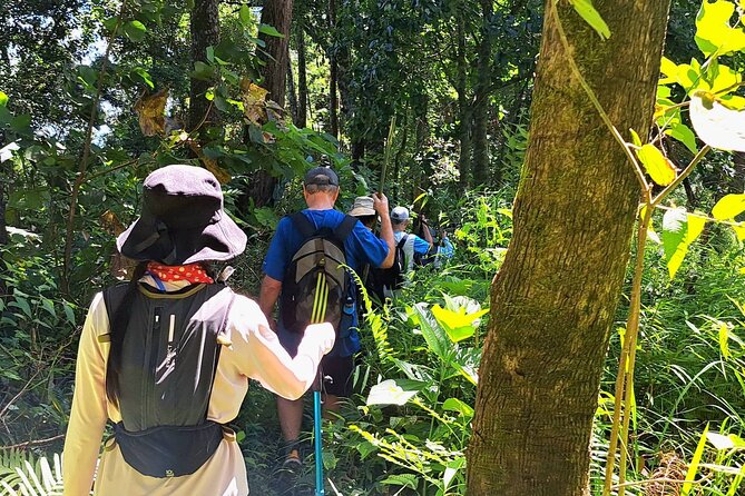Full-Day Hike and Bike Tour from Chiang Mai - Waterfall lunch gives the day a welcome pause