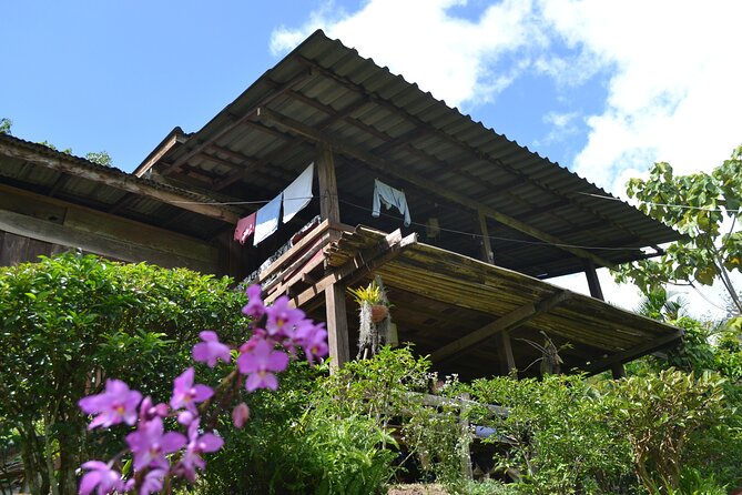 Full-Day Hike and Bike Tour from Chiang Mai - The afternoon bike ride follows rural roads