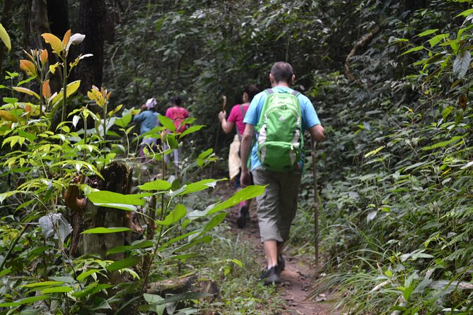 Full-Day Hike and Bike Tour from Chiang Mai - The Mae Sa hike is scenic, but not a casual walk