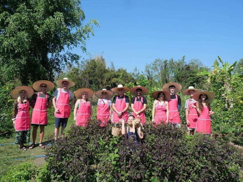 Full Day Thai Cooking Class in Organic Farm and Market - Who will enjoy this cooking day most