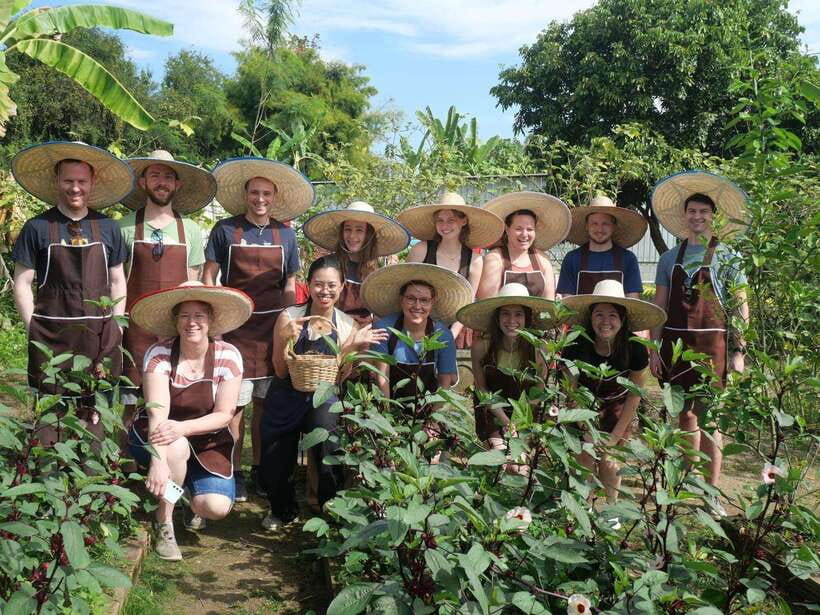 Full Day Thai Cooking Class in Organic Farm and Market - Visiting the organic farm near Chiang Mai