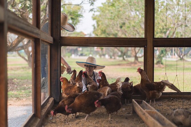 Full-Day Thai Cooking Class with Grandma - Market and Farm Tour - Who will enjoy this class most?