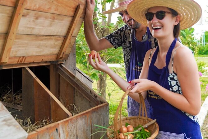 Full-Day Thai Cooking Class with Grandma - Market and Farm Tour - A farm visit with rice fields, chickens, and mushrooms