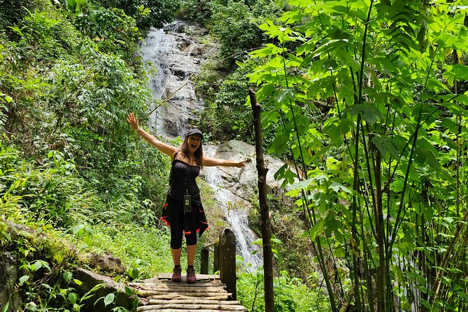 Full-Day Trekking and Sightseeing Tour in Mae Kampong - Gibbon care in the Mae Kampong forest