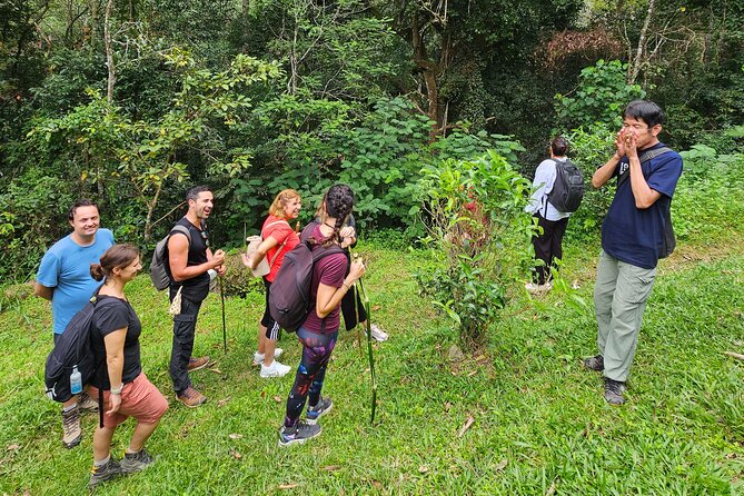 Full-Day Trekking and Sightseeing Tour in Mae Kampong - Mae Kampong Waterfall and the coffee stop