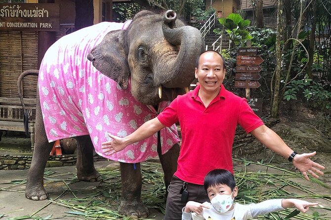 Half Day Car Hire with an English Speaking Driver in Chiang Mai - City stops and local suggestions