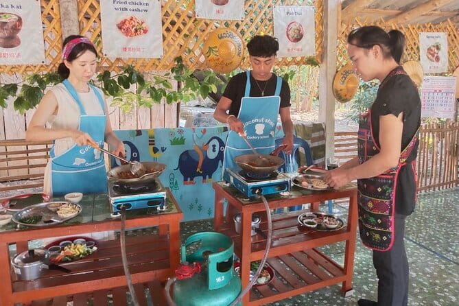 Half Day Chiang Mai Cooking Class and Market Taste Tour - Key points to know before booking
