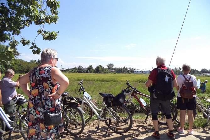 Half-Day Colors of Chiang Mai Biking Tour - Wat Pa Ngio and Buddhist traditions