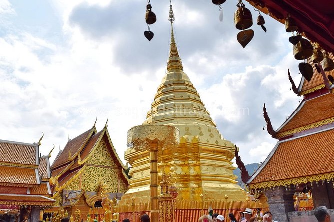 Half Day Doi Suthep Temple and Palad Temple (Private tour) - The private vehicle and mountain road