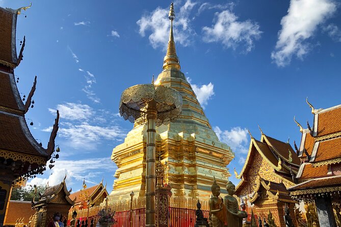 Half Day Doi Suthep Temple and Palad Temple (Private tour) - Who will get the most from this tour
