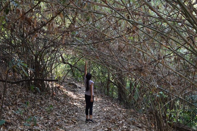 Half Day Doi Suthep Temple and short trekking on monk trail (Private Tour) - Why this half-day route works so well