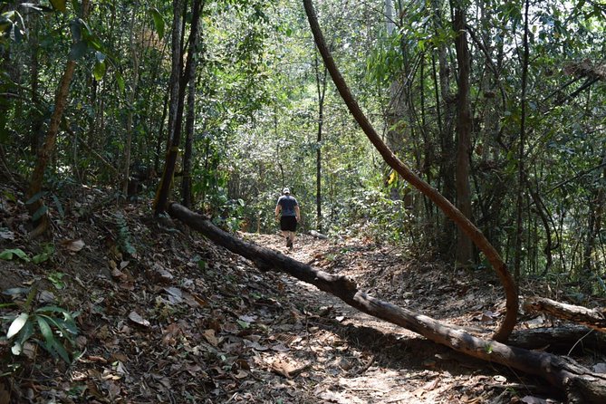 Half Day Doi Suthep Temple and short trekking on monk trail (Private Tour) - Reaching Wat Phra That Doi Suthep