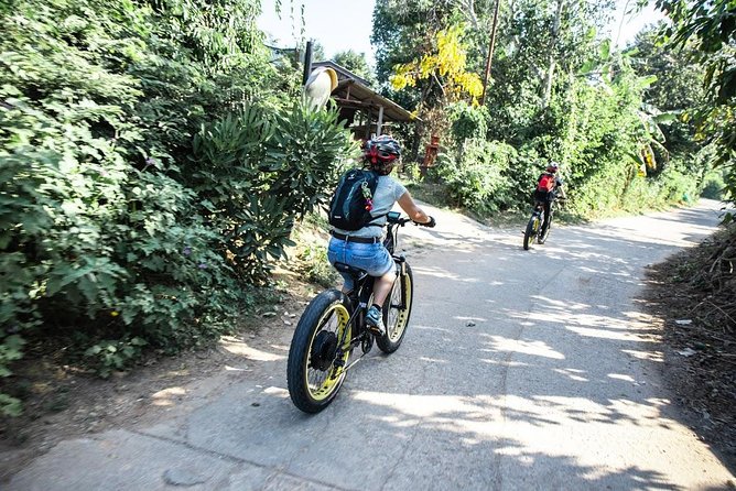 Half-day E-bike Countryside and rice paddies (flat land, GUIDED) - Along the Ping River and toward Wat Chang Nam