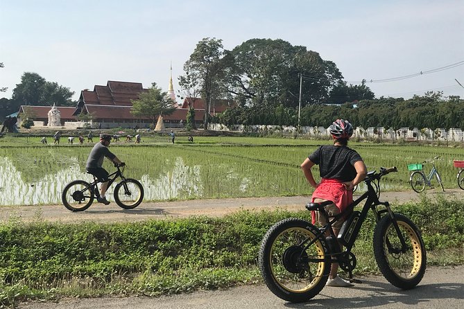 Half-day E-bike Countryside and rice paddies (flat land, GUIDED) - How hard is the ride?