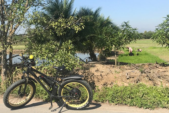 Half-day E-bike Countryside and rice paddies (flat land, GUIDED) - What the $50.52 price really covers