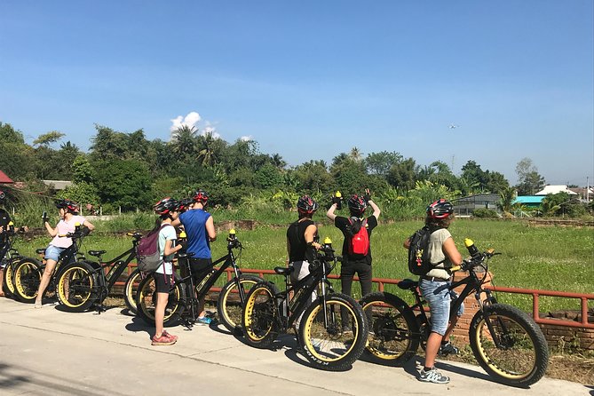 Half-day E-bike Countryside and rice paddies (flat land, GUIDED) - Wat Ton Kwen and the first countryside views