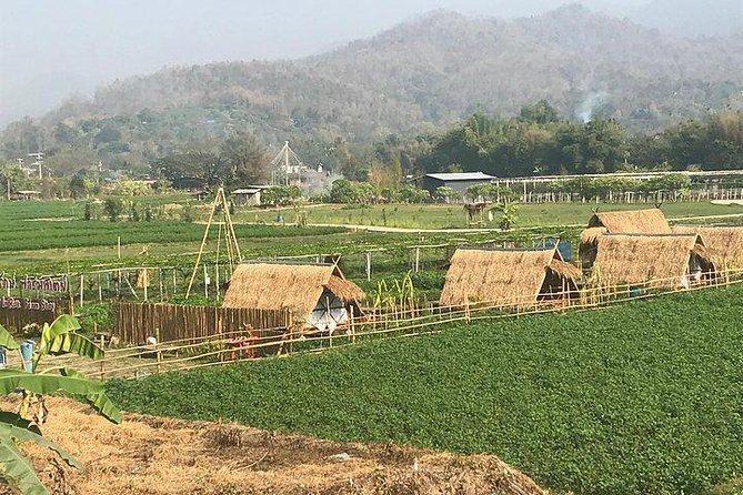 Half-day E-bike Nam Phrae (hilly, fully paved roads, GUIDED) - The half-day label and the time you really need