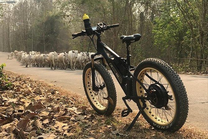 Half-day E-bike Nam Phrae (hilly, fully paved roads, GUIDED) - Who will enjoy this most