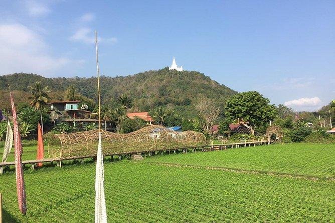 Half-day E-bike Nam Phrae (hilly, fully paved roads, GUIDED) - Rolling through Nam Phrae and Hang Dong
