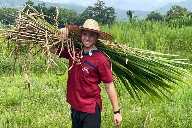 Half-Day Elephant Experience at Rantong - Thai Food After the Elephant Activities