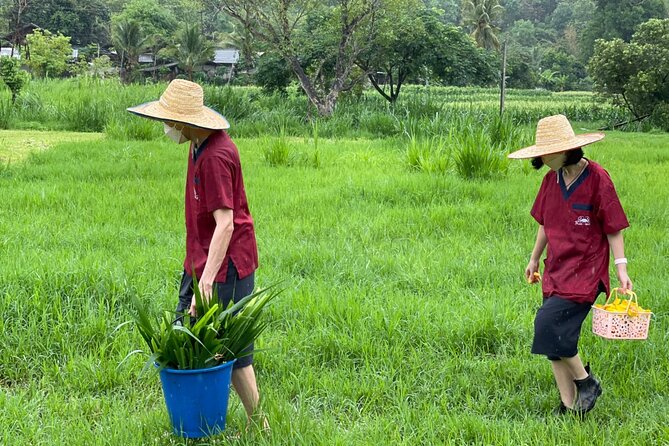 Half-Day Elephant Experience at Rantong - How Much Value Does the $58.70 Price Offer?
