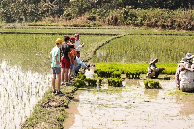 Half-Day Lanna Countryside Cycling Tour in Chiang Mai - What the ride is really like