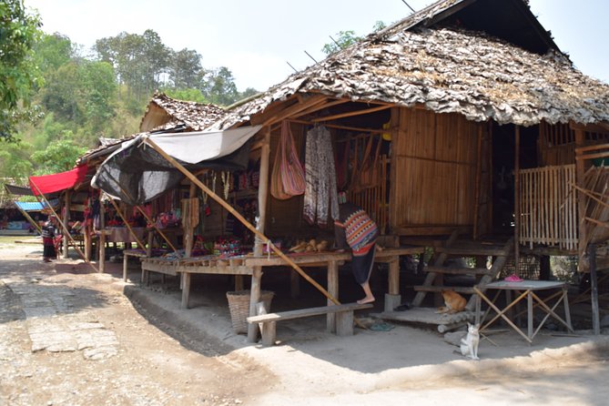 Half Day Long Neck hill tribe and Elephant POOPOOPAPER Park (Private Tour) - What the guides add to the experience