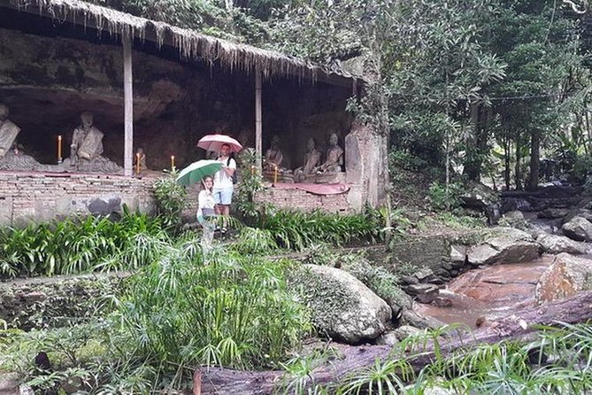 Half Day, Monk Chat Meditation Retreat on Waterfall Temple, Chiang Mai, Thailand - A forest morning above Chiang Mai