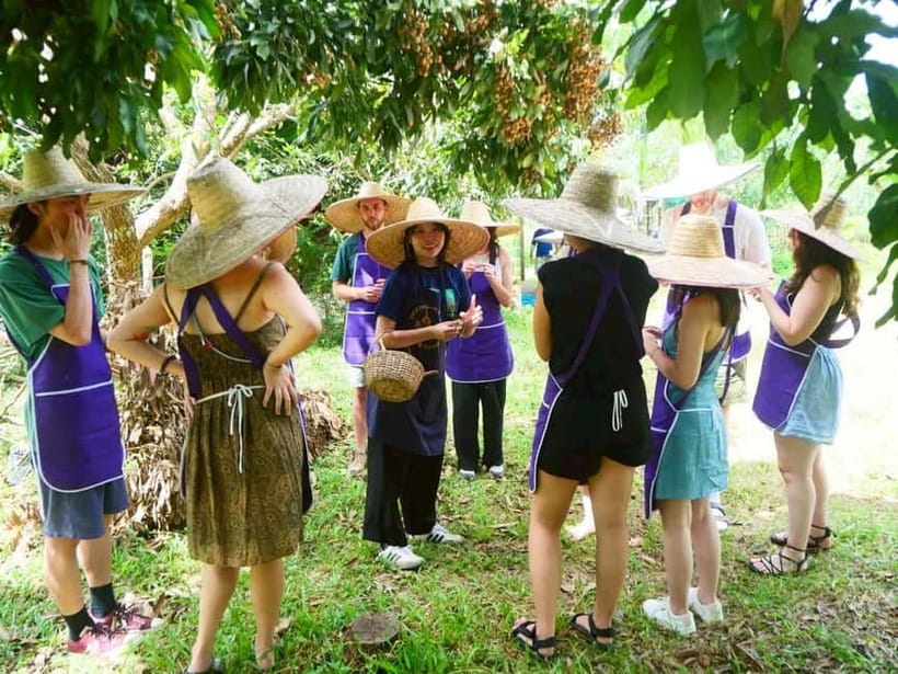 Half-Day Thai Cooking Class on a Local Farm Near Chiang Mai - Key details to know before booking