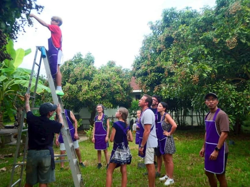 Half-Day Thai Cooking Class on a Local Farm Near Chiang Mai - From Chiang Mai streets to a working farm