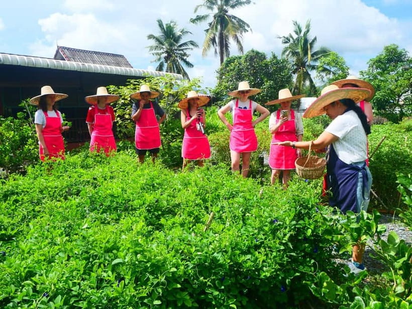 Half-Day Thai Cooking Class on a Local Farm Near Chiang Mai - Is $28 good value for a full half-day?