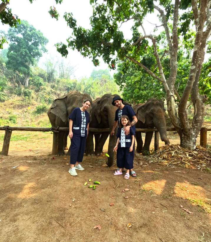 Half-day with CHIANGMAI ELEPHANT CARE program (12pm-6pm.) - Why the elephant contact feels different