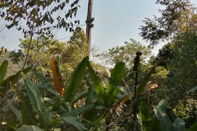 Hiking and Zipline Private Tour from Chiang Mai +Karen Village - Lunch and the Pace of the Day
