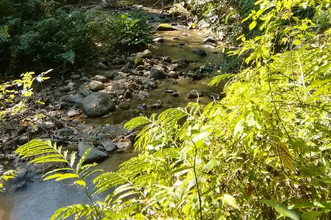 Hiking and Zipline Private Tour from Chiang Mai +Karen Village - How Much Value Do You Get for $162.50?