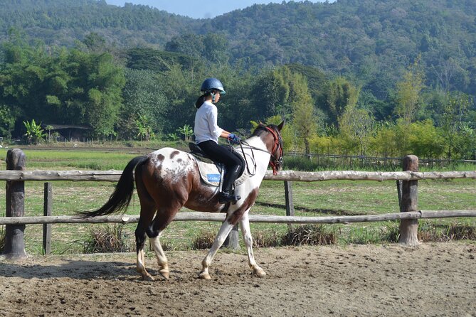 Horse Lesson+Riding+Wat Tonkwen wooden temple.Chiangmai - Key points to know before booking